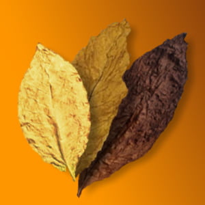 What Are The Best Tobacco E-Liquids To Buy In 2025?