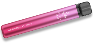 Elf Bar 600 V2 Device